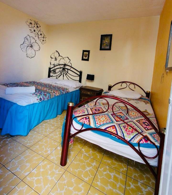 Los Nardos Hostel -Pet Friendly- Oaxaca Экстерьер фото