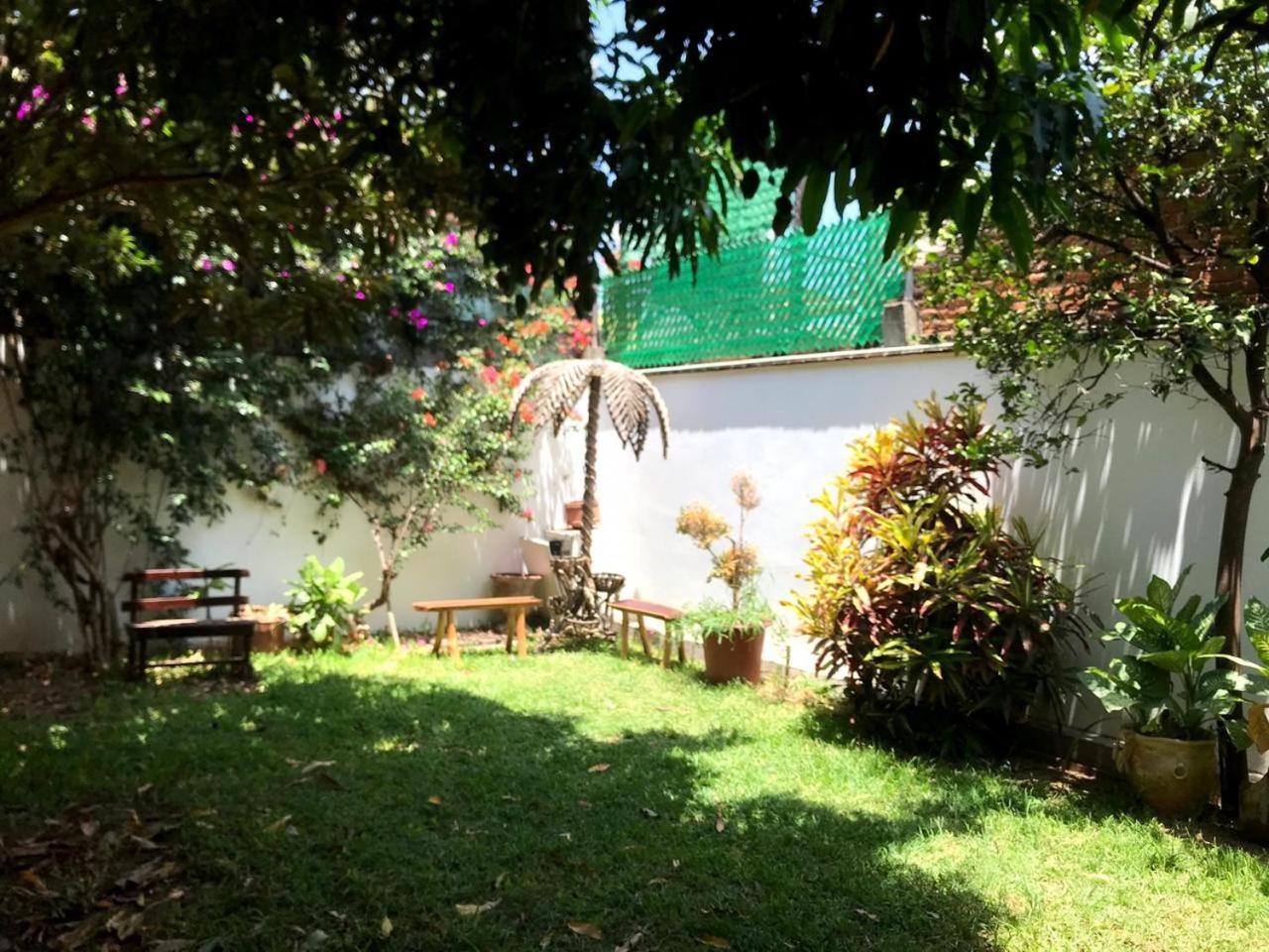 Los Nardos Hostel -Pet Friendly- Oaxaca Экстерьер фото
